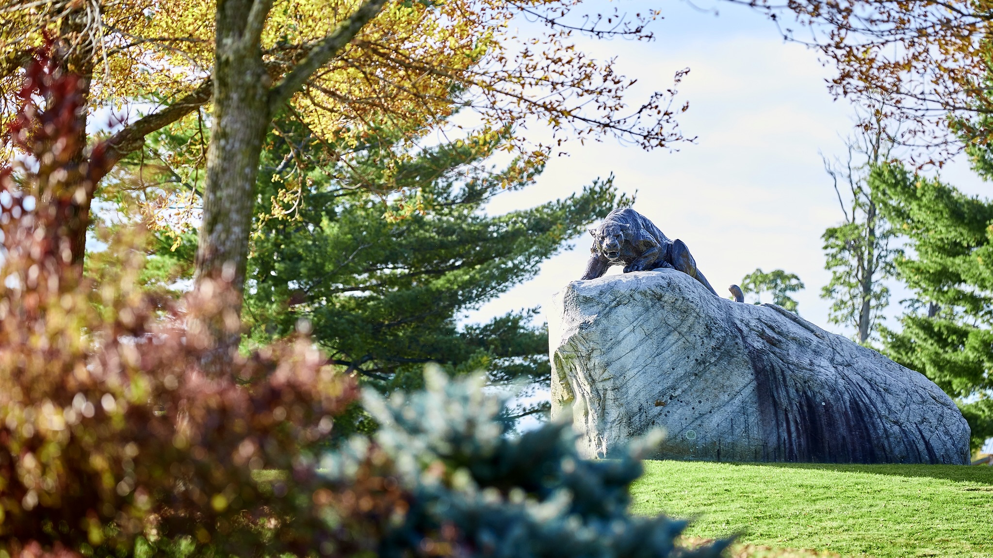 Homecoming | Middlebury Offices and Services